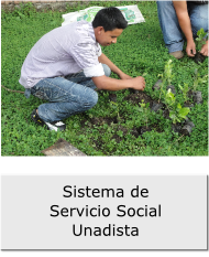 Sissu